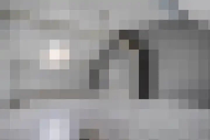 Van Leeuwtemarke 14 Zwolle thumbnail 30