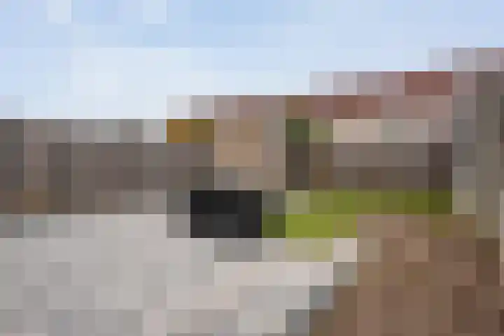 Van Leeuwtemarke 14 Zwolle thumbnail 33