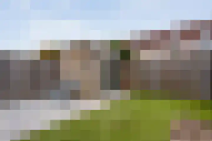 Van Leeuwtemarke 14 Zwolle thumbnail 35