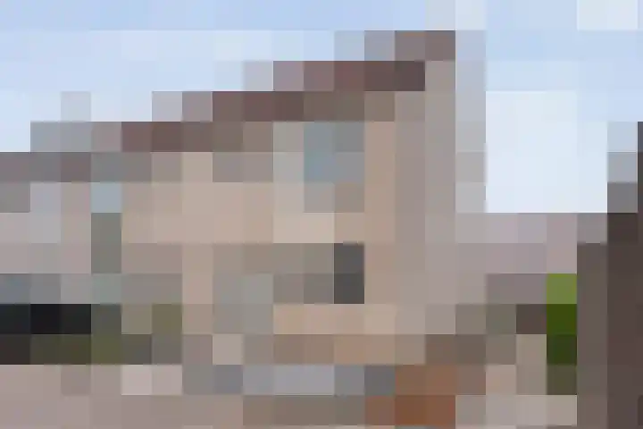 Van Leeuwtemarke 14 Zwolle thumbnail 5