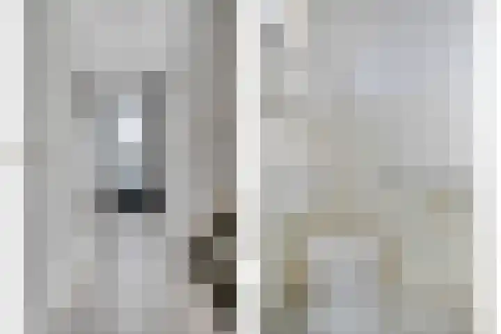 Van Leeuwtemarke 14 Zwolle thumbnail 9