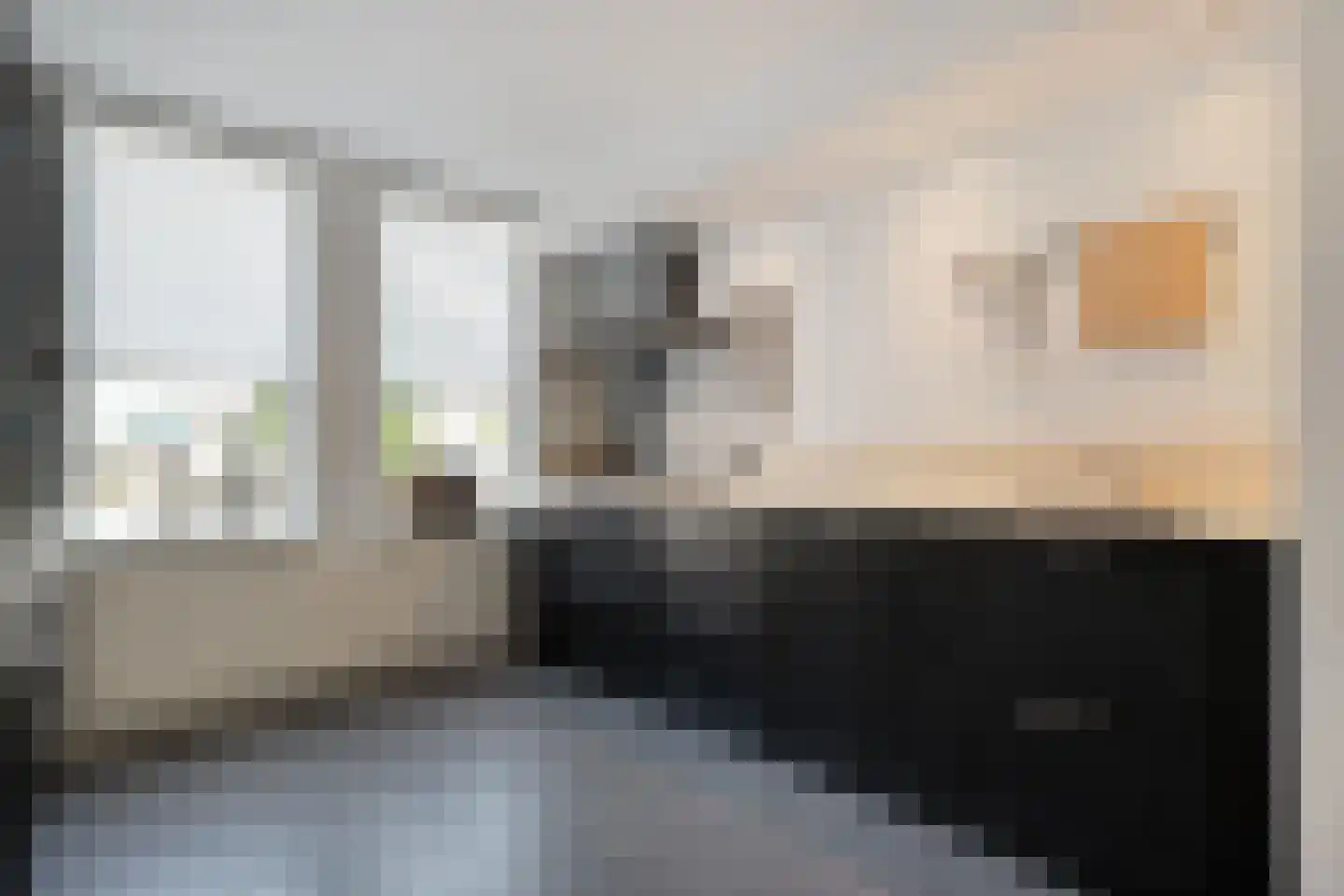 Van Leeuwtemarke 22 Zwolle thumbnail 13