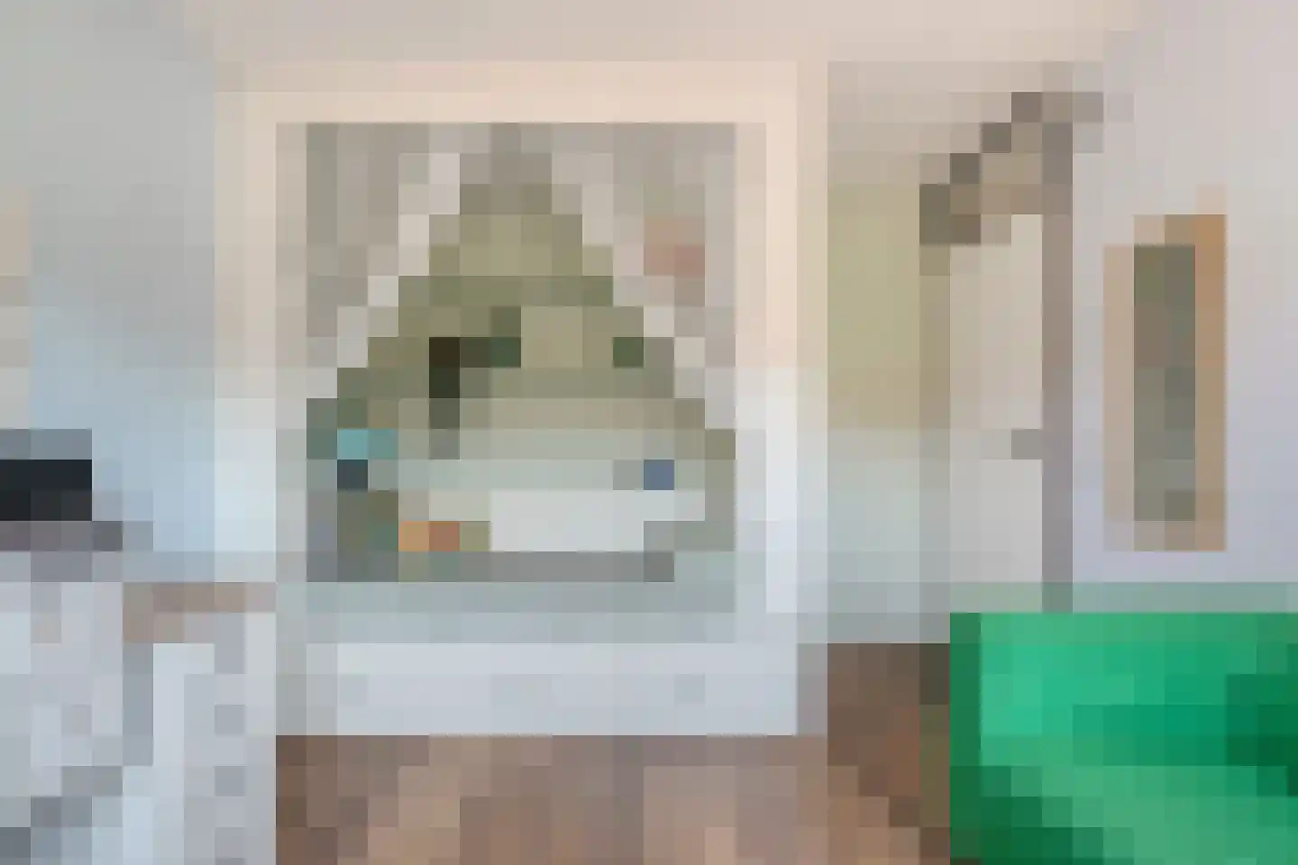 Van Leeuwtemarke 22 Zwolle thumbnail 20