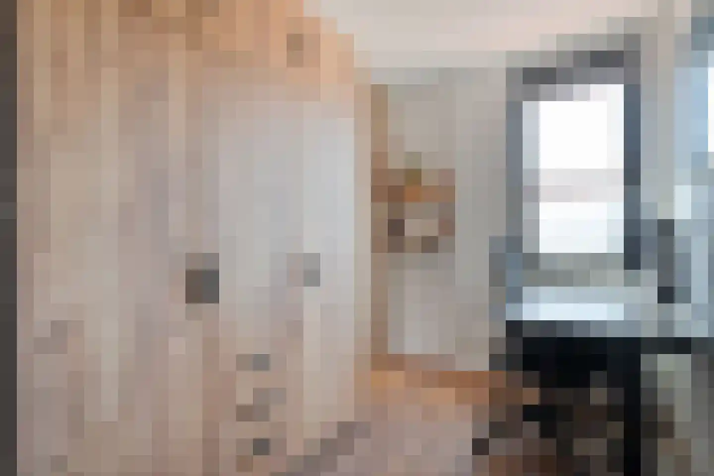 Van Leeuwtemarke 22 Zwolle thumbnail 23