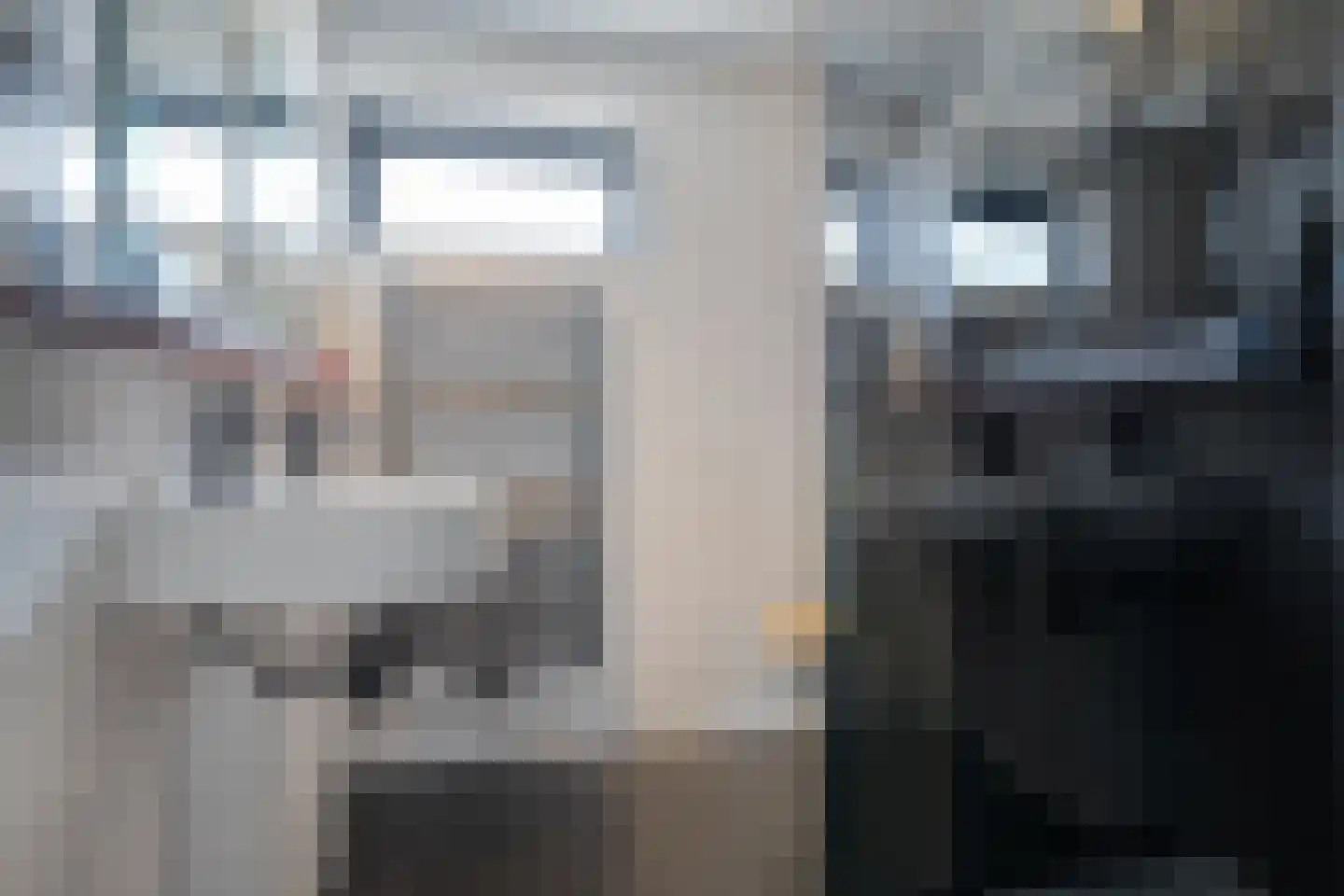 Van Leeuwtemarke 22 Zwolle thumbnail 25