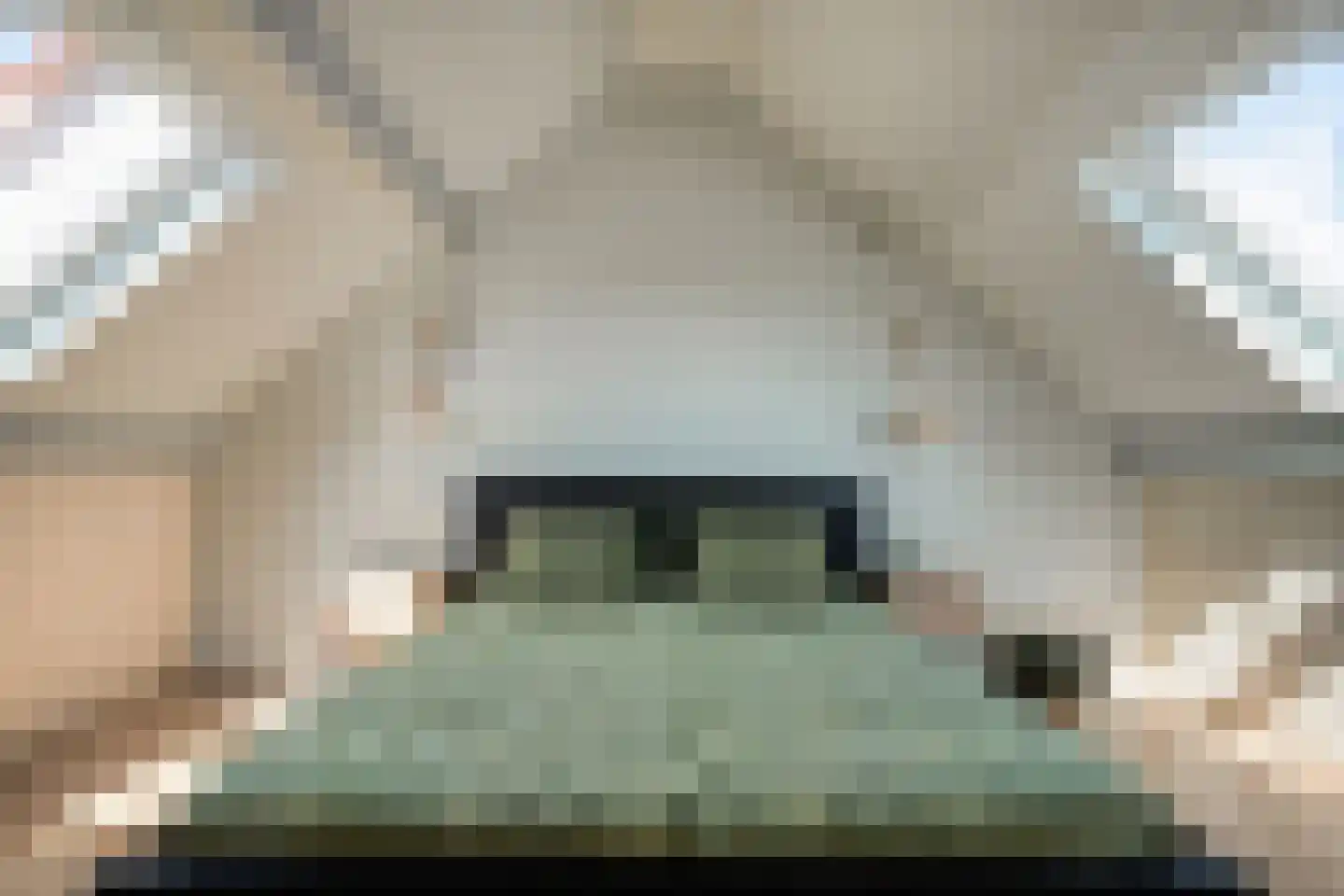 Van Leeuwtemarke 22 Zwolle thumbnail 28