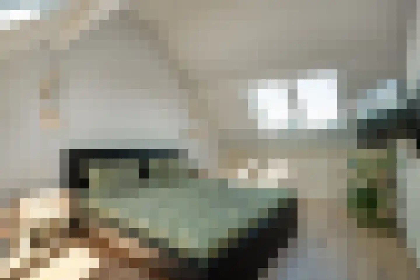 Van Leeuwtemarke 22 Zwolle thumbnail 29