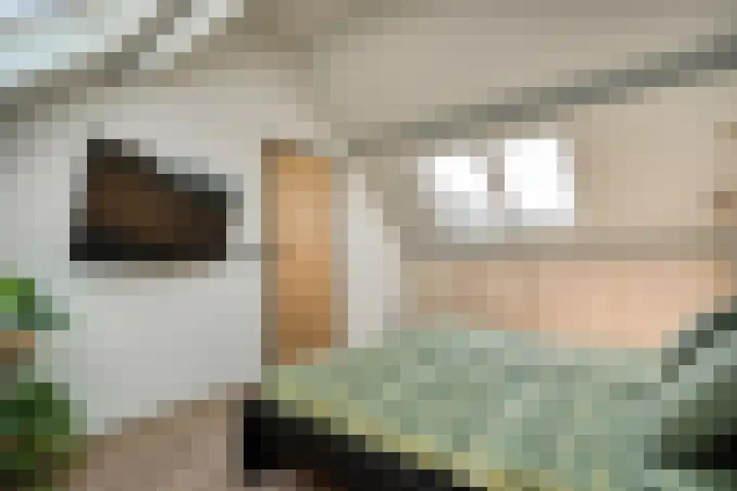 Van Leeuwtemarke 22 Zwolle thumbnail 30