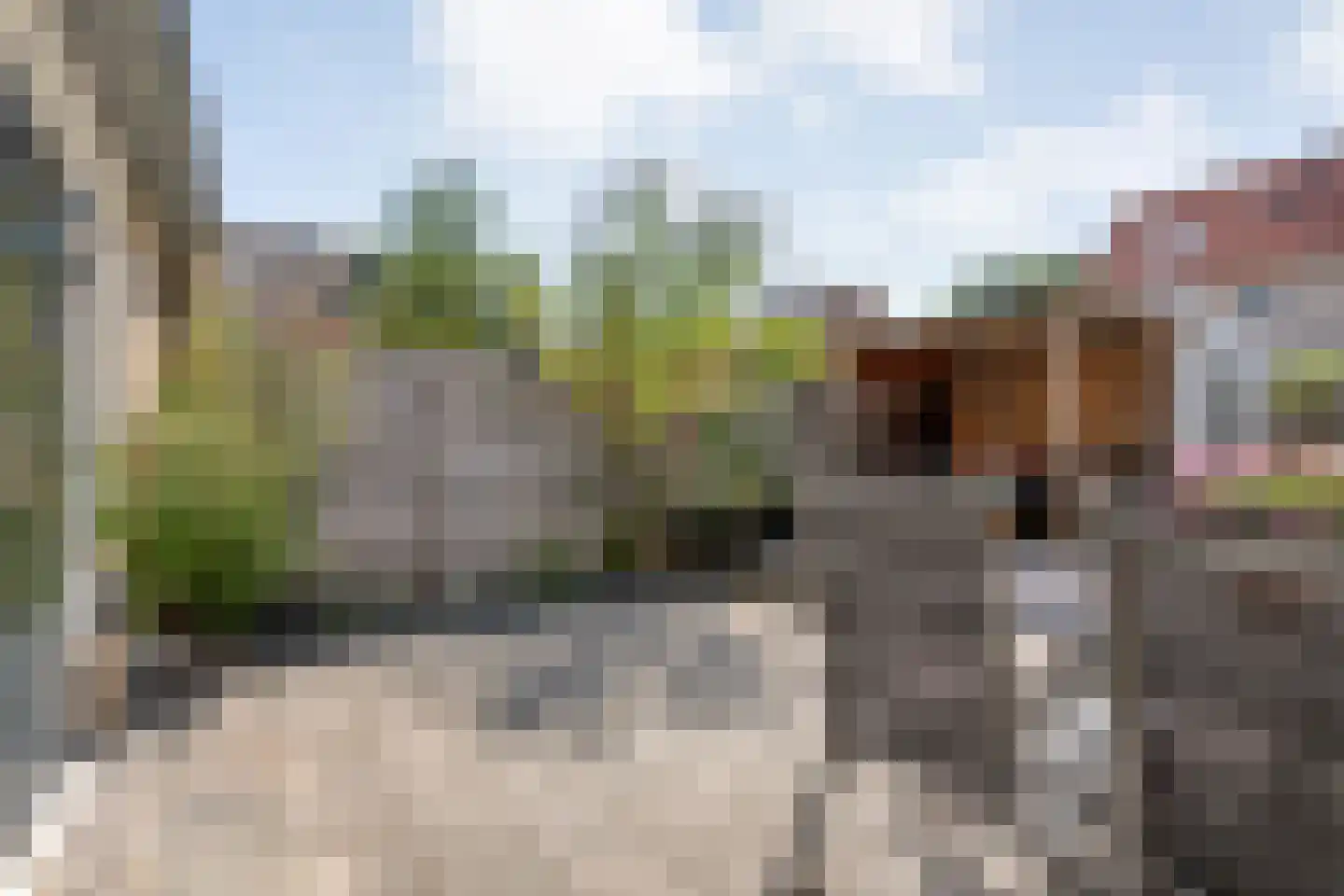 Van Leeuwtemarke 22 Zwolle thumbnail 32