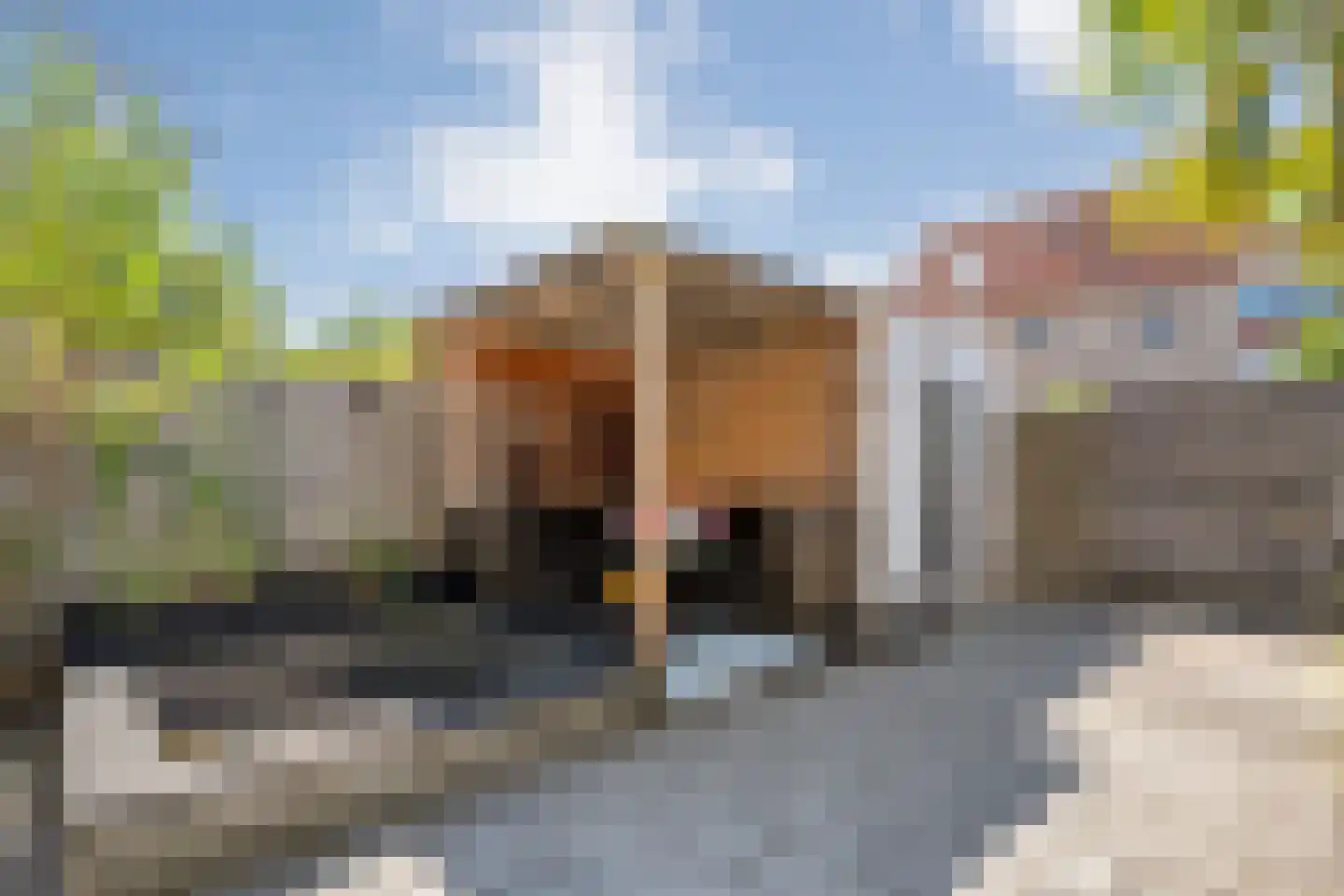 Van Leeuwtemarke 22 Zwolle thumbnail 34