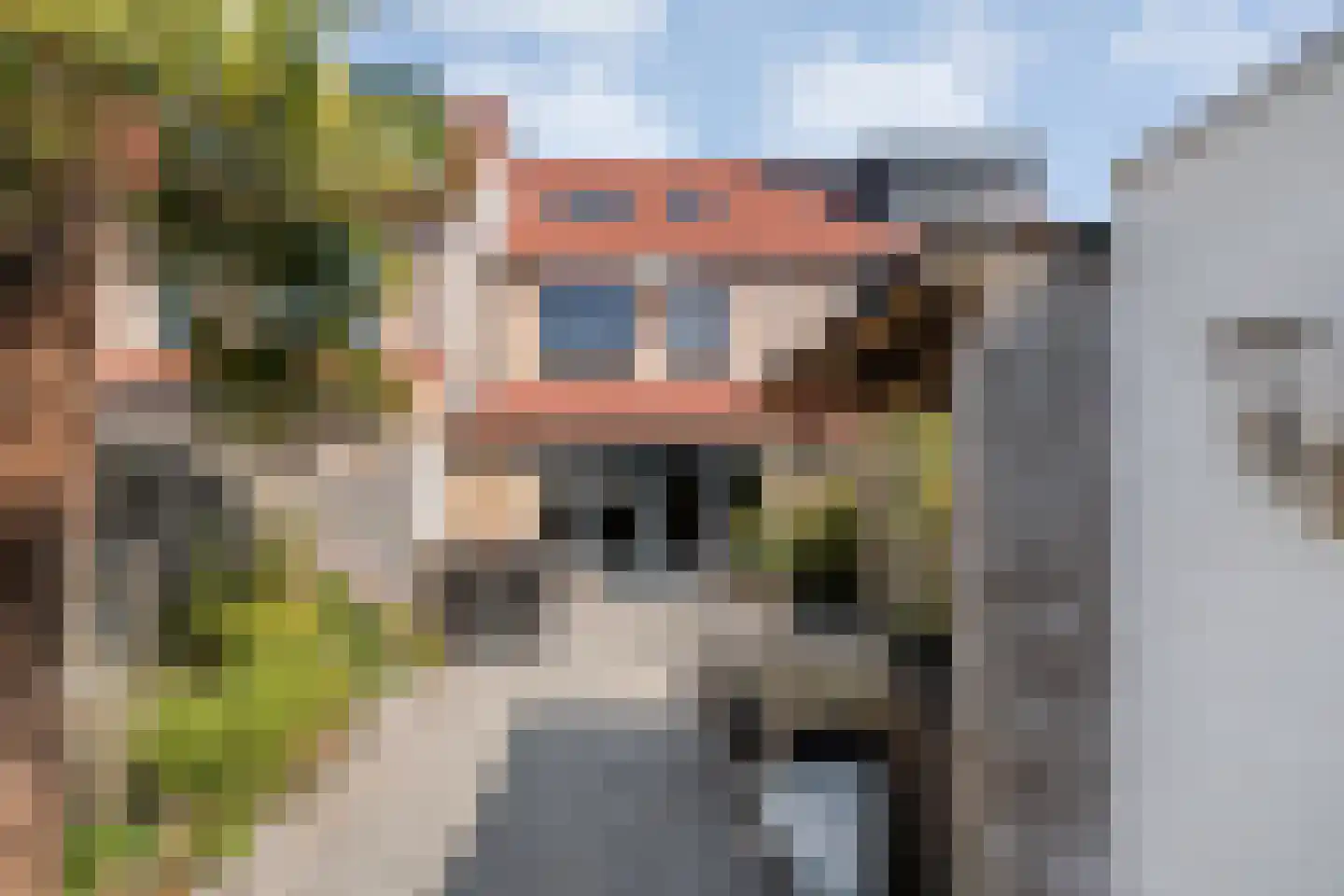 Van Leeuwtemarke 22 Zwolle thumbnail 35
