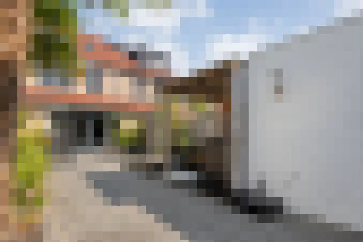 Van Leeuwtemarke 22 Zwolle thumbnail 36