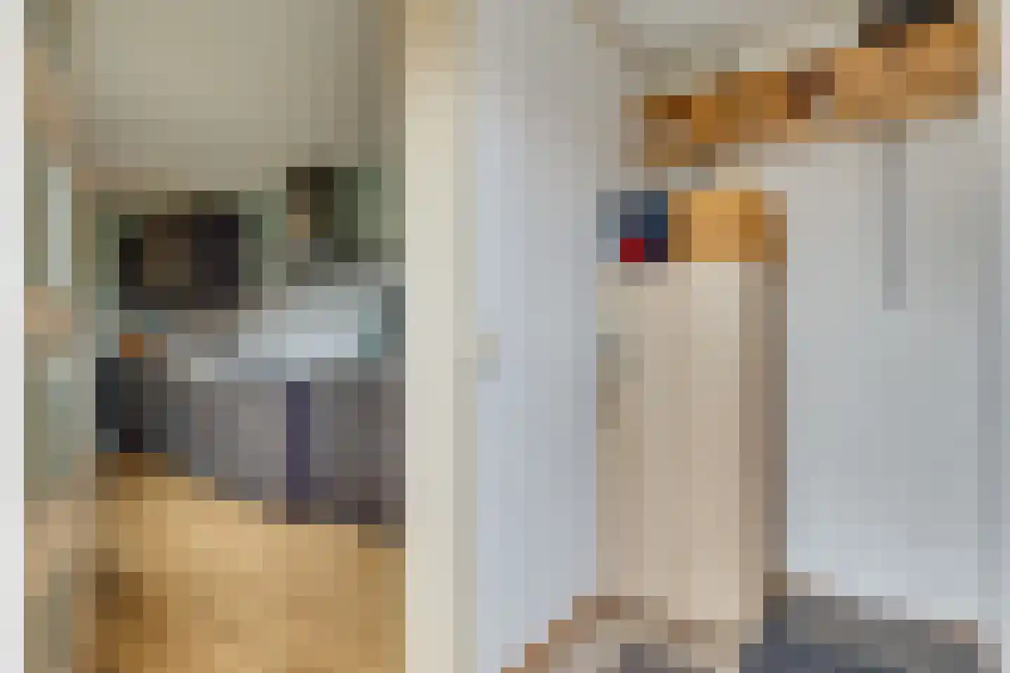 Van Leeuwtemarke 40 Zwolle thumbnail 10