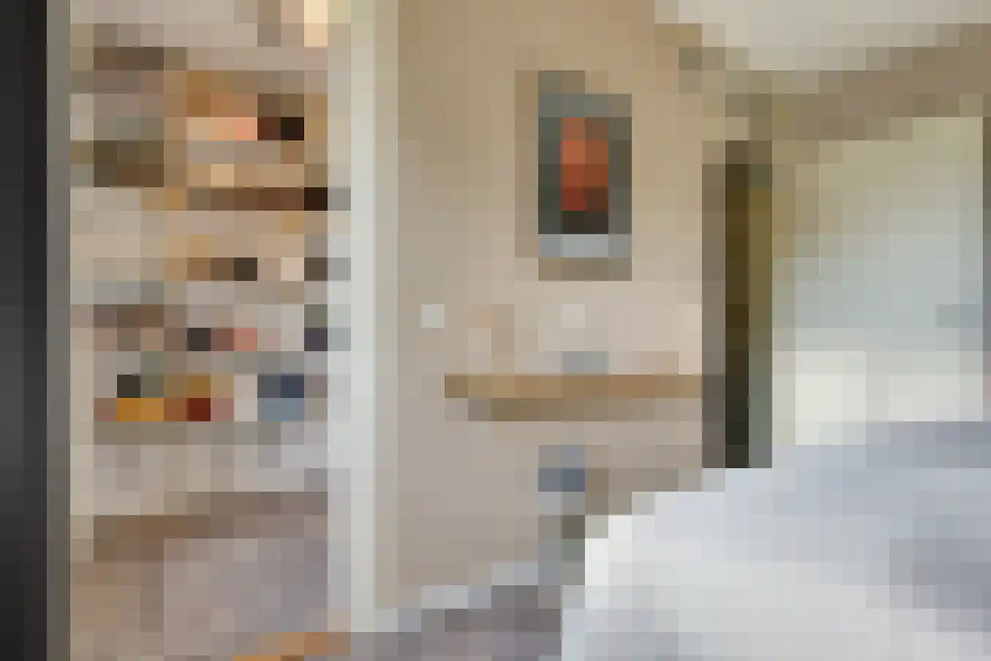 Van Leeuwtemarke 40 Zwolle thumbnail 15