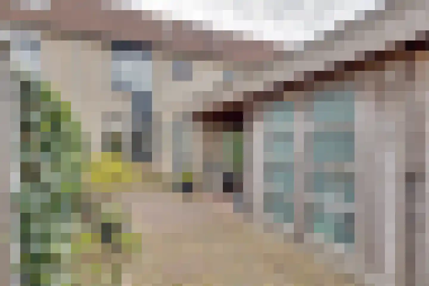 Van Leeuwtemarke 40 Zwolle thumbnail 24