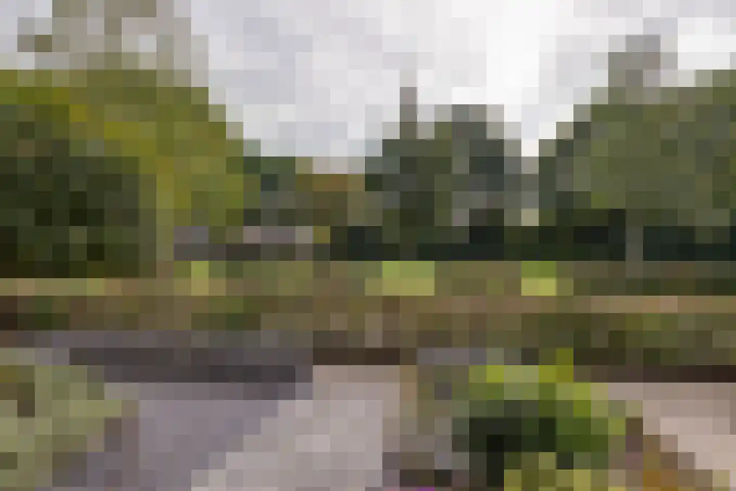 Van Leeuwtemarke 40 Zwolle thumbnail 29