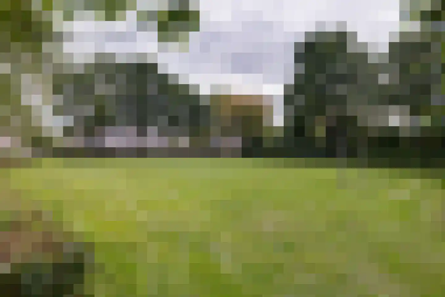 Van Leeuwtemarke 40 Zwolle thumbnail 34