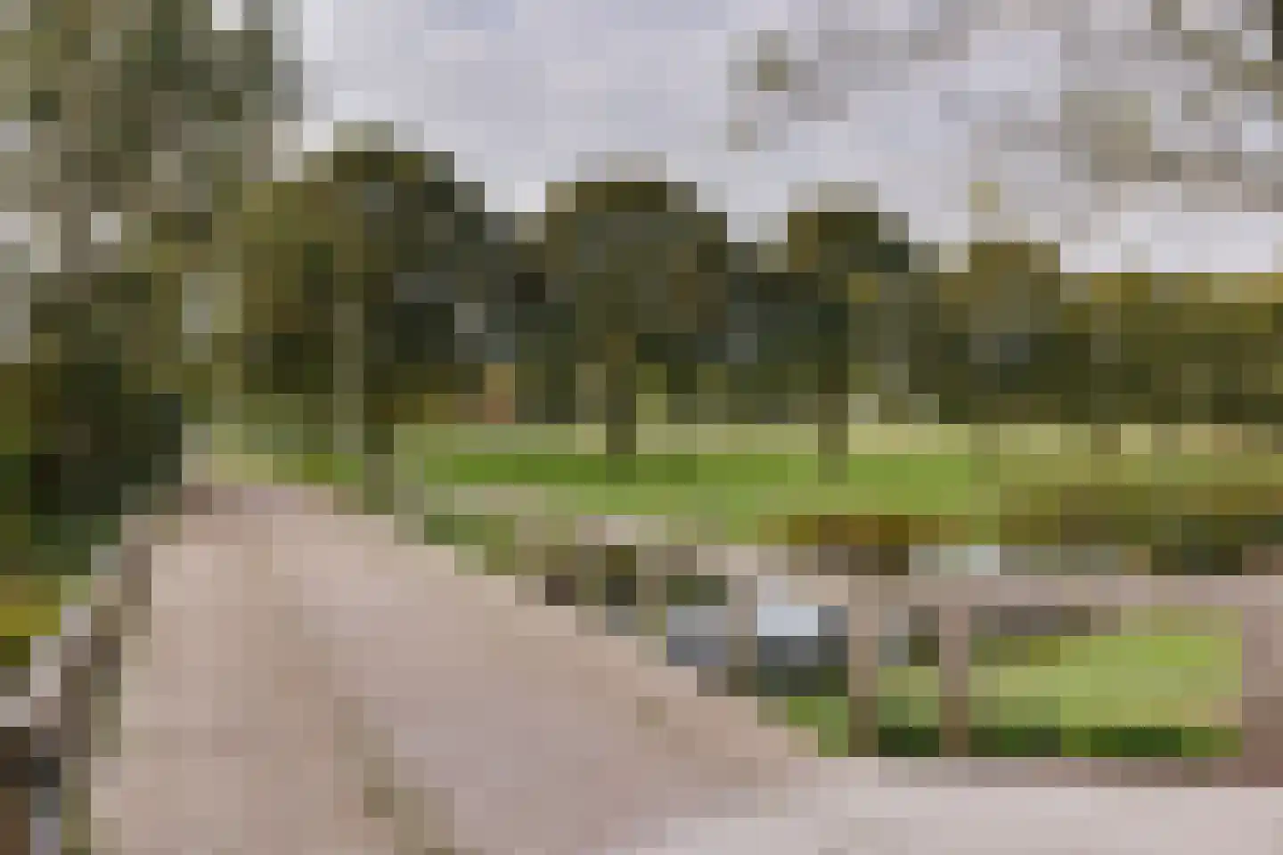 Van Leeuwtemarke 40 Zwolle thumbnail 35