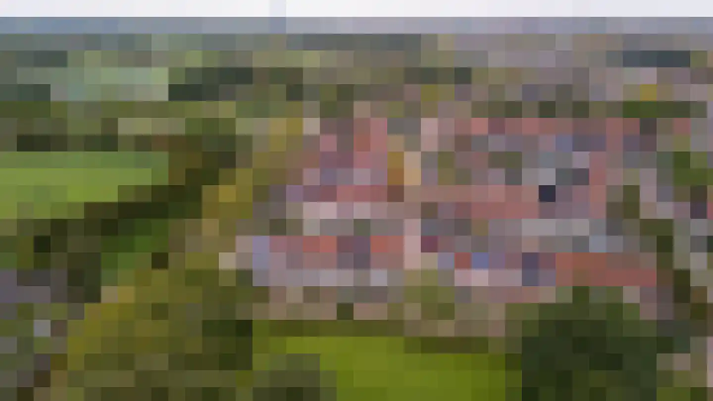 Van Leeuwtemarke 40 Zwolle thumbnail 38