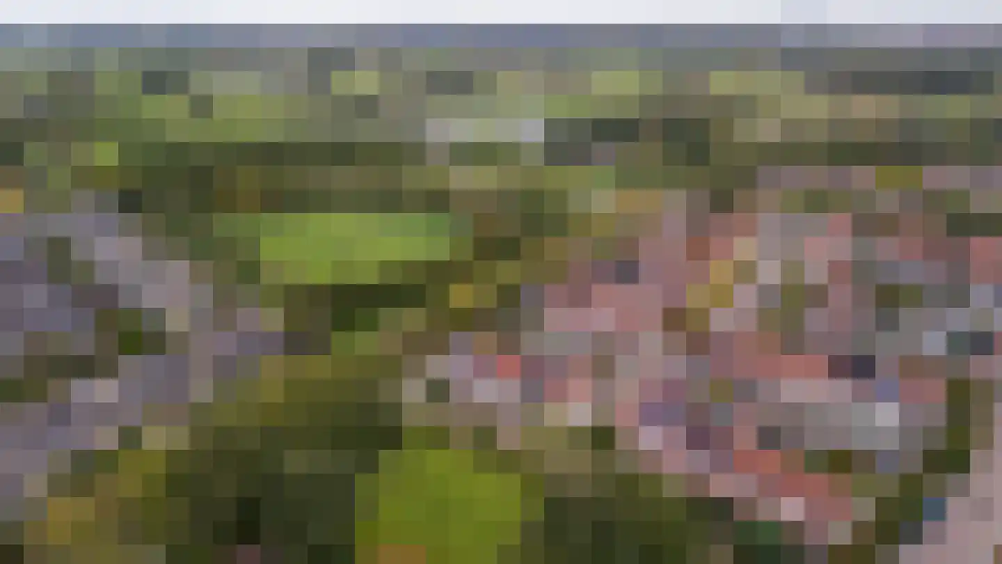 Van Leeuwtemarke 40 Zwolle thumbnail 40