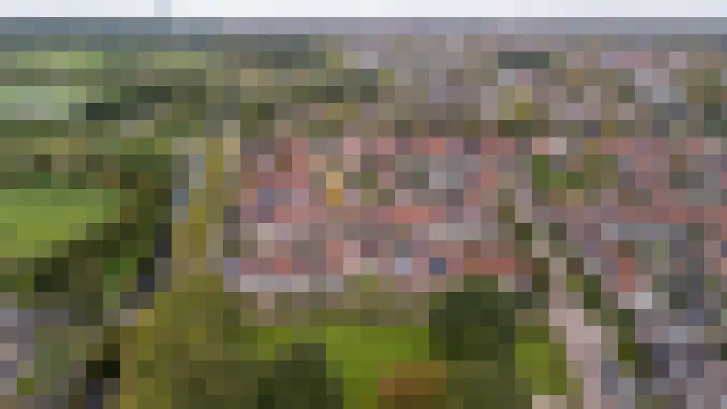 Van Leeuwtemarke 40 Zwolle thumbnail 41