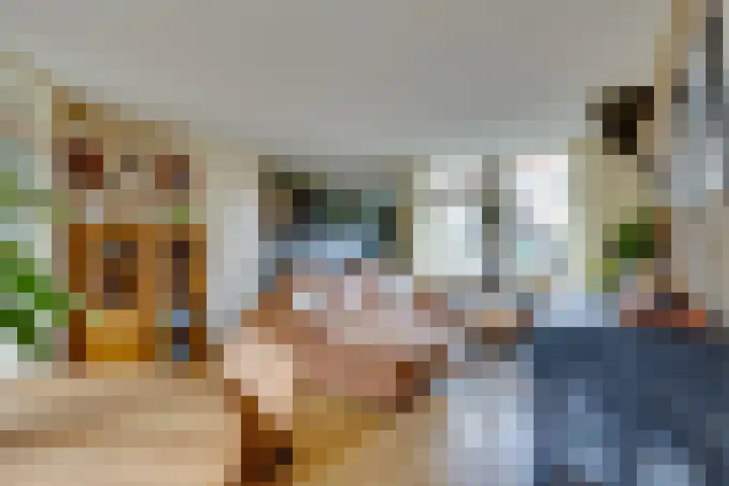 Van Leeuwtemarke 40 Zwolle thumbnail 5