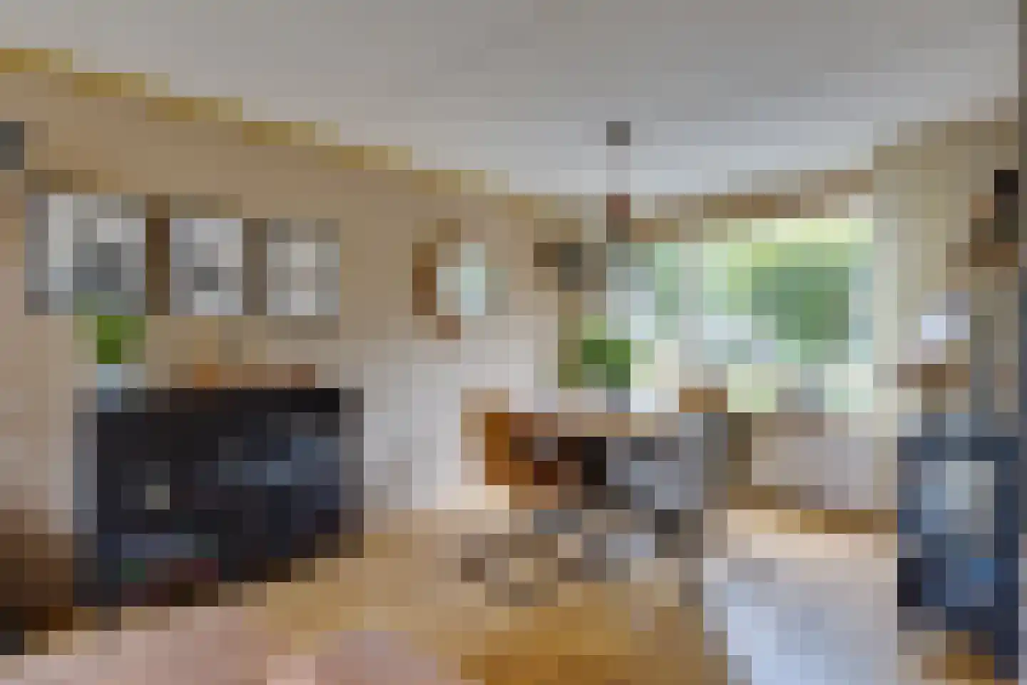 Van Leeuwtemarke 40 Zwolle thumbnail 6