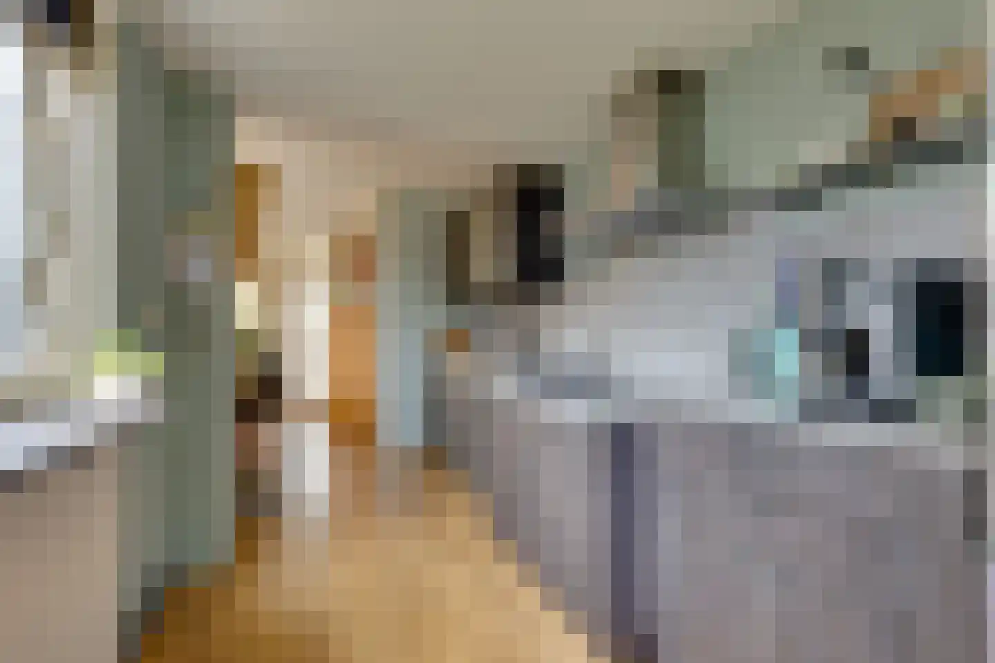 Van Leeuwtemarke 40 Zwolle thumbnail 8