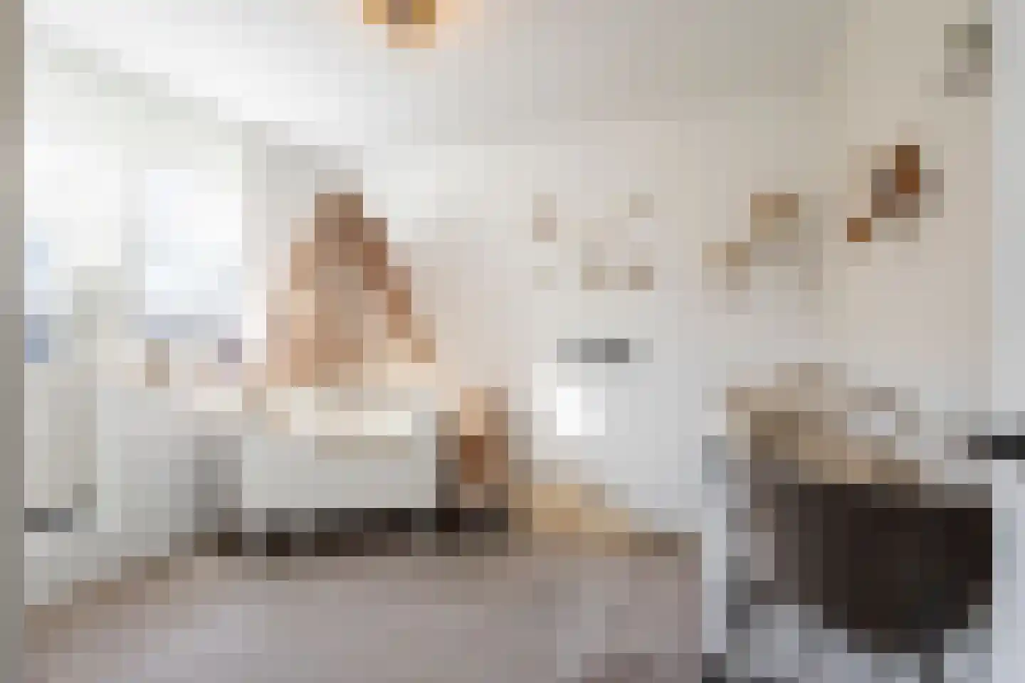Van Leijdenstraat 26 Hardinxveld-Giessendam thumbnail 15