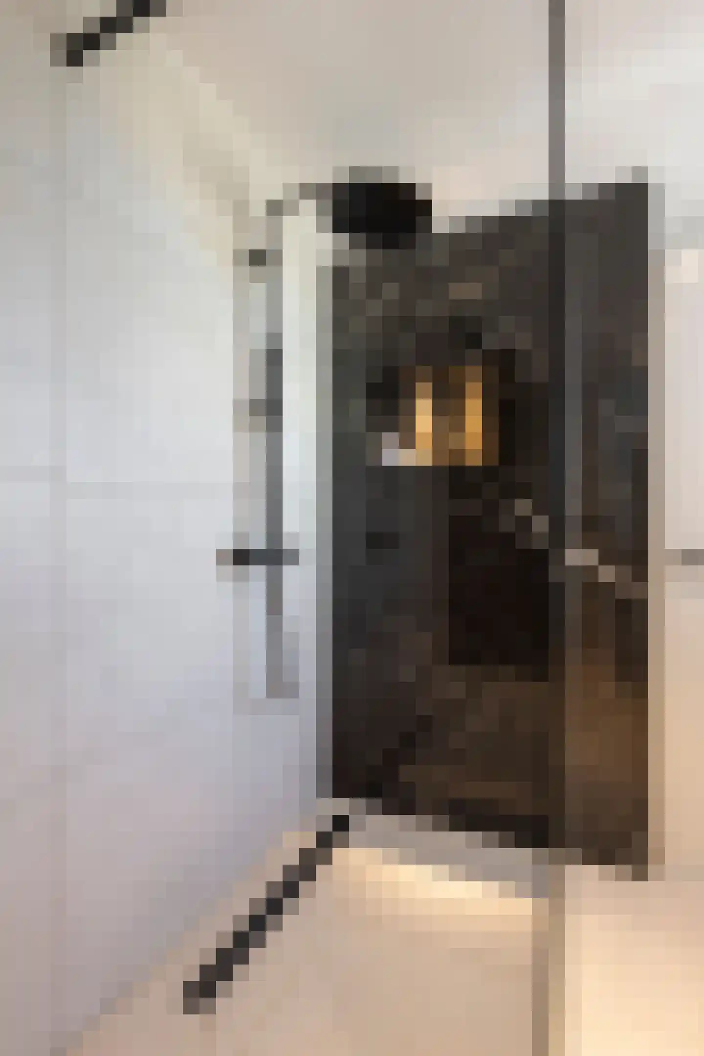 Van Leijdenstraat 26 Hardinxveld-Giessendam thumbnail 22