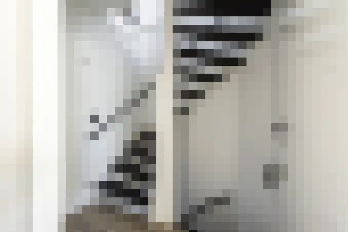 Van Leijdenstraat 26 Hardinxveld-Giessendam thumbnail 25