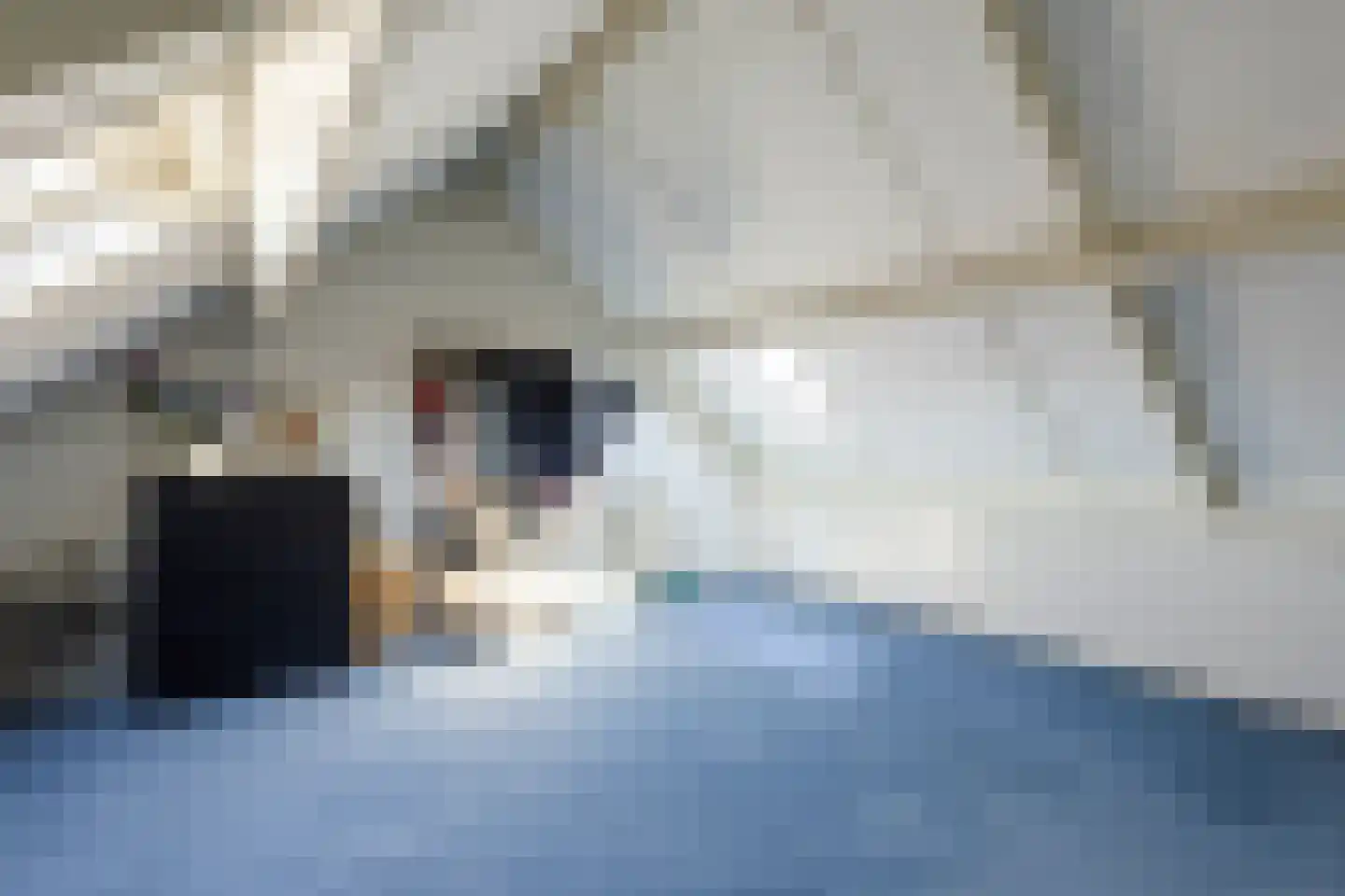 Van Leijdenstraat 26 Hardinxveld-Giessendam thumbnail 27
