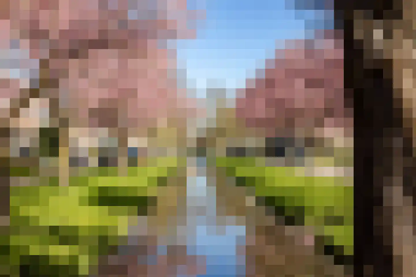 Van Leijdenstraat 26 Hardinxveld-Giessendam thumbnail 35