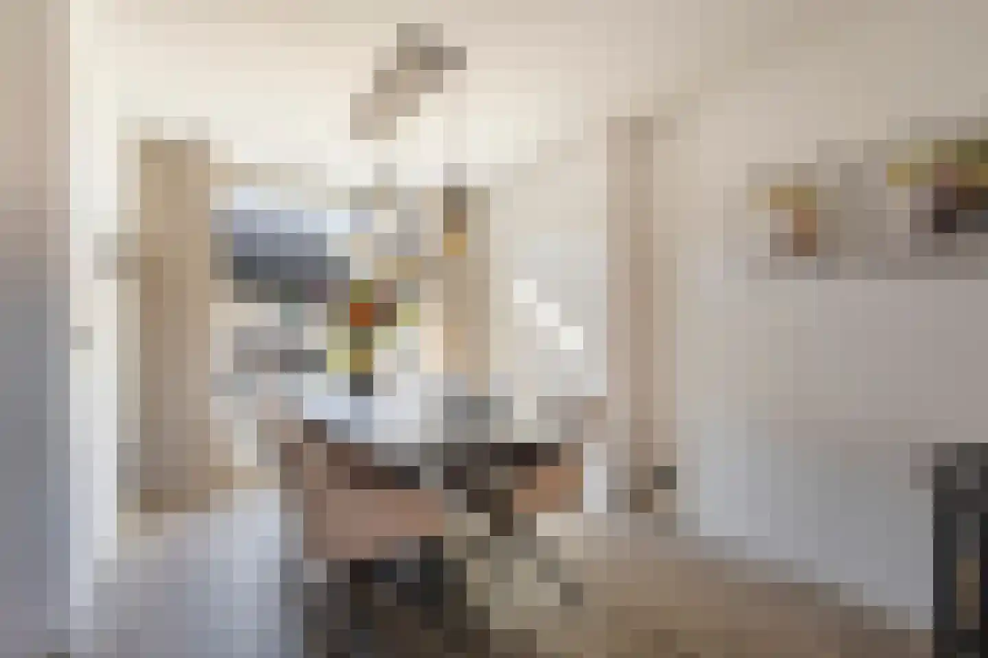 Van Leijdenstraat 26 Hardinxveld-Giessendam thumbnail 7