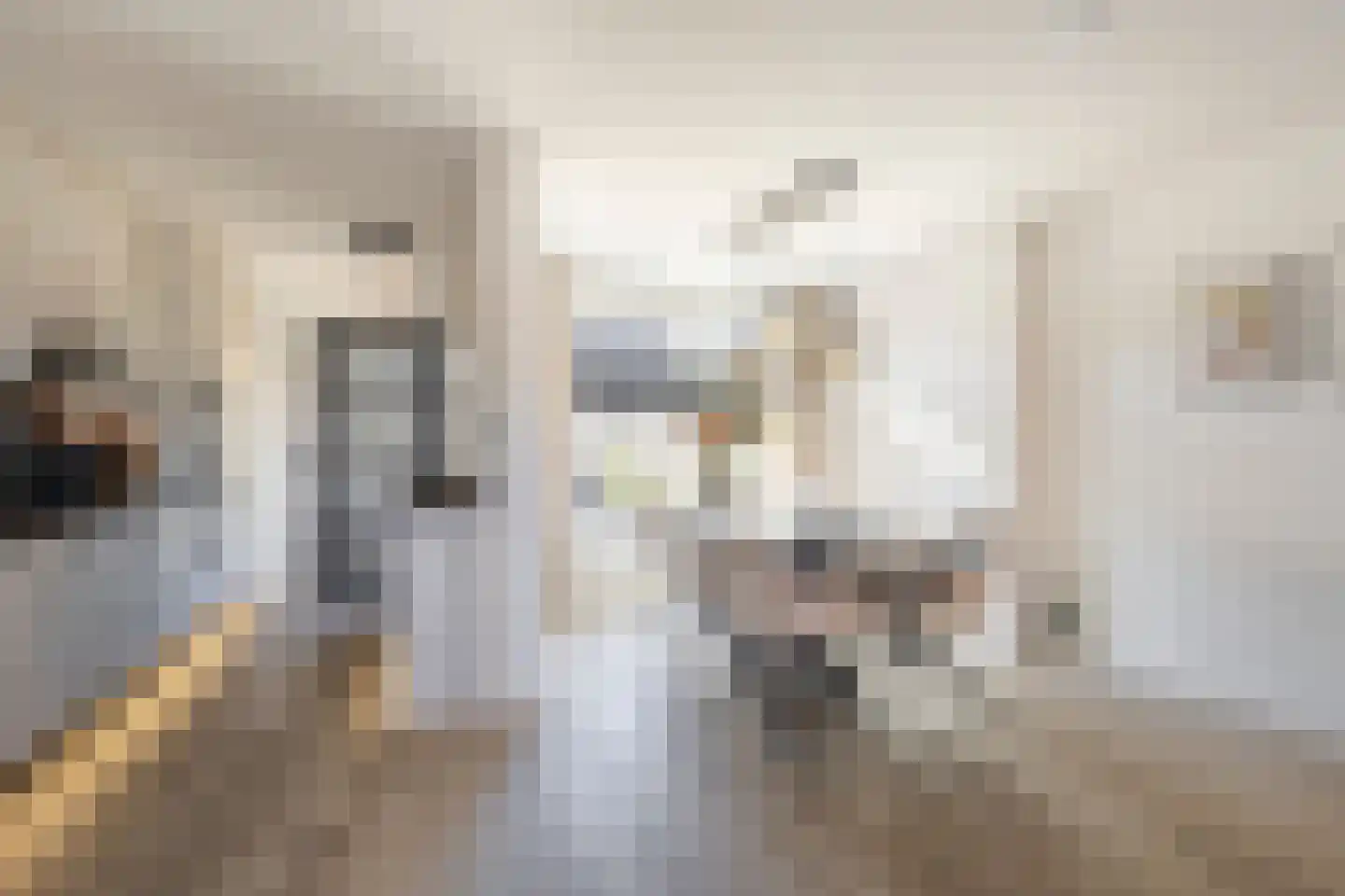 Van Leijdenstraat 26 Hardinxveld-Giessendam thumbnail 8