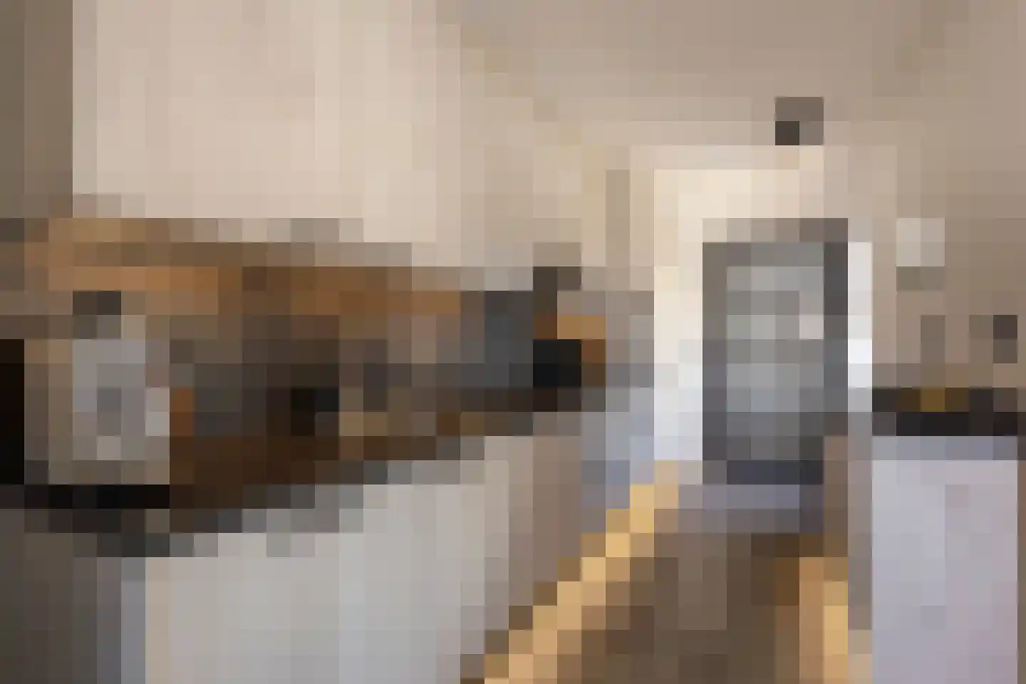 Van Leijdenstraat 26 Hardinxveld-Giessendam thumbnail 9