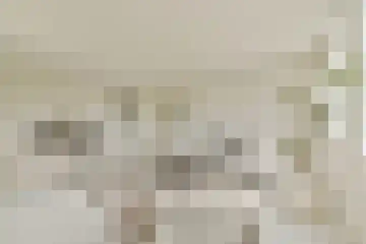 Van Leijenberghlaan 16 K Amsterdam thumbnail 18