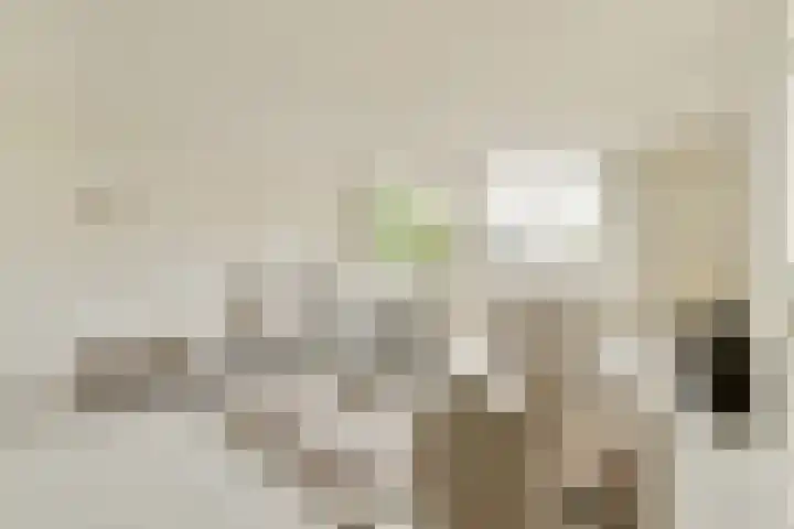 Van Leijenberghlaan 16 K Amsterdam thumbnail 19