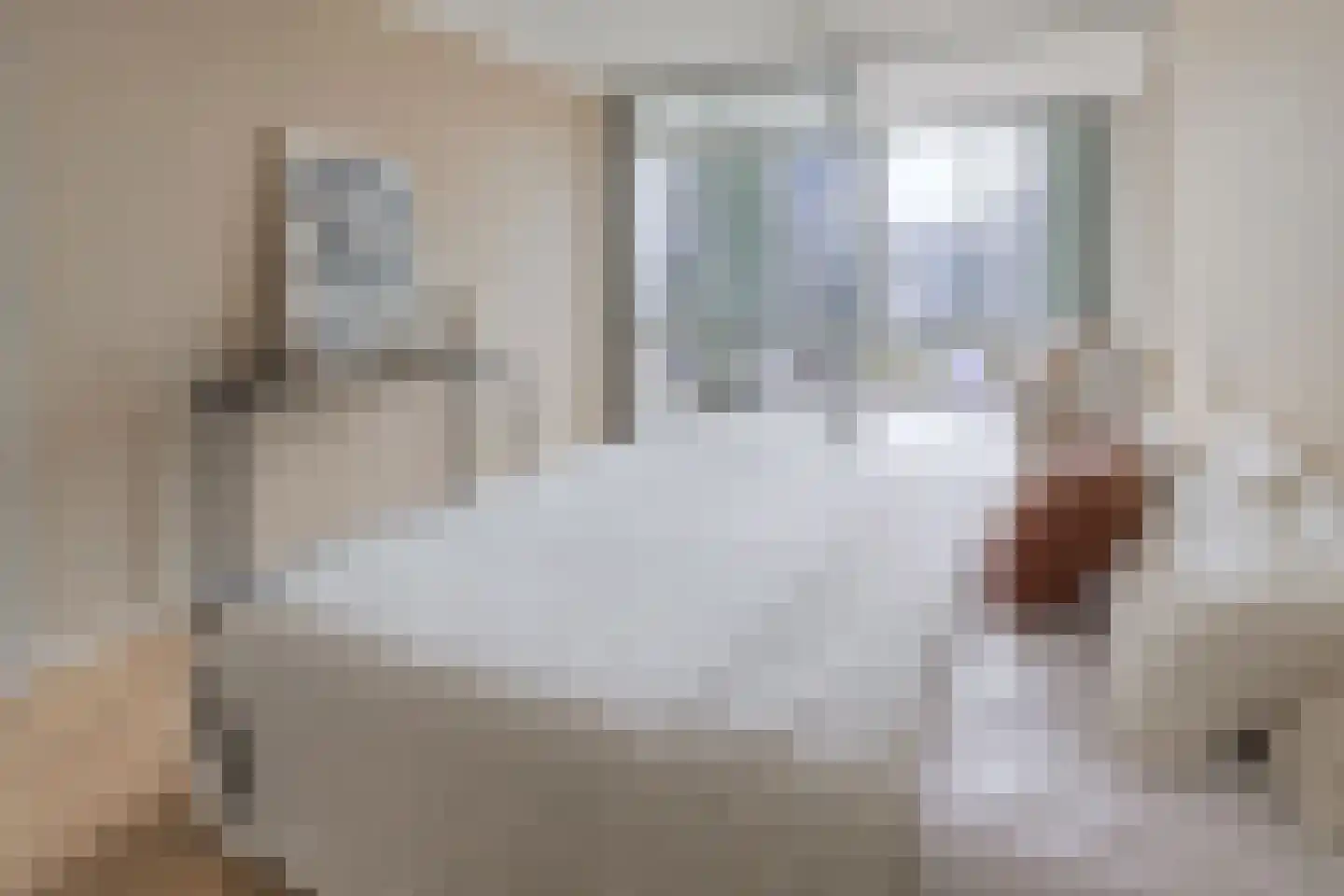 Van Leijenberghlaan 18 D Amsterdam thumbnail 21