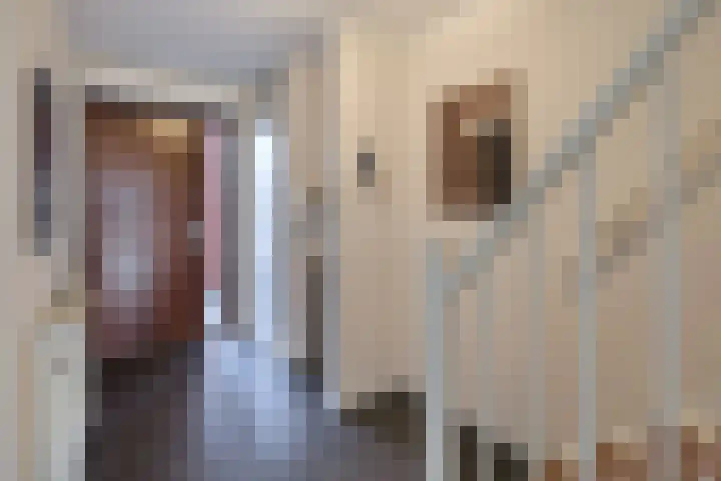 Van Leijenberghlaan 18 D Amsterdam thumbnail 7