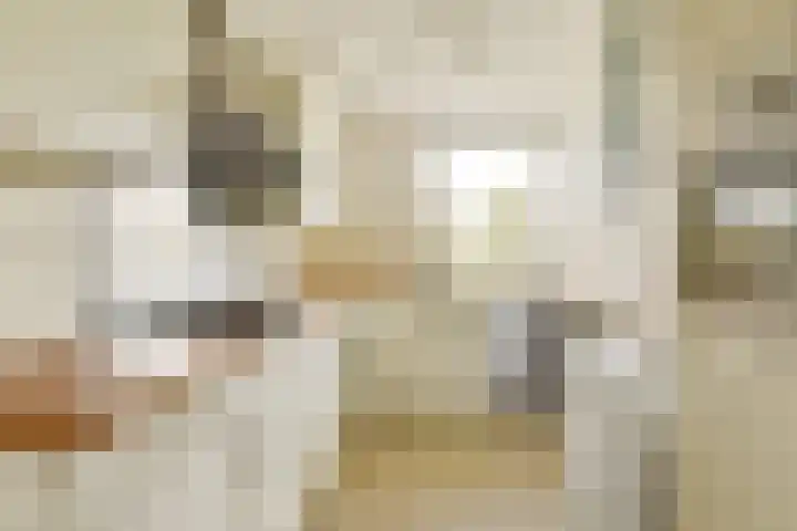 Van Leijenberghlaan 2 H Amsterdam thumbnail 7