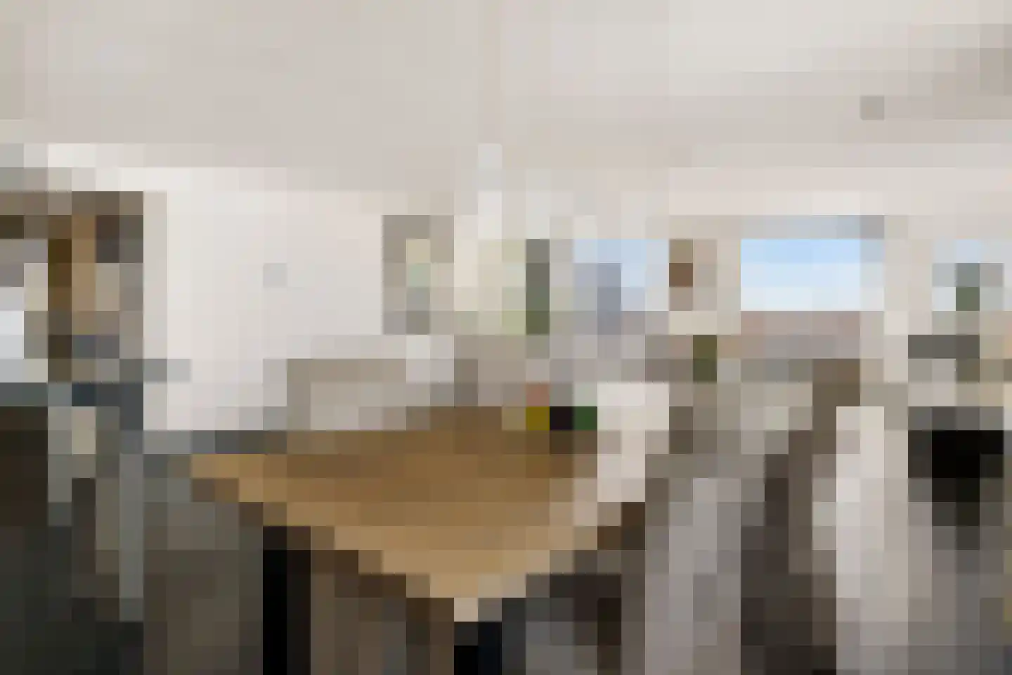 Van Leijenberghlaan 2 T Amsterdam thumbnail 12