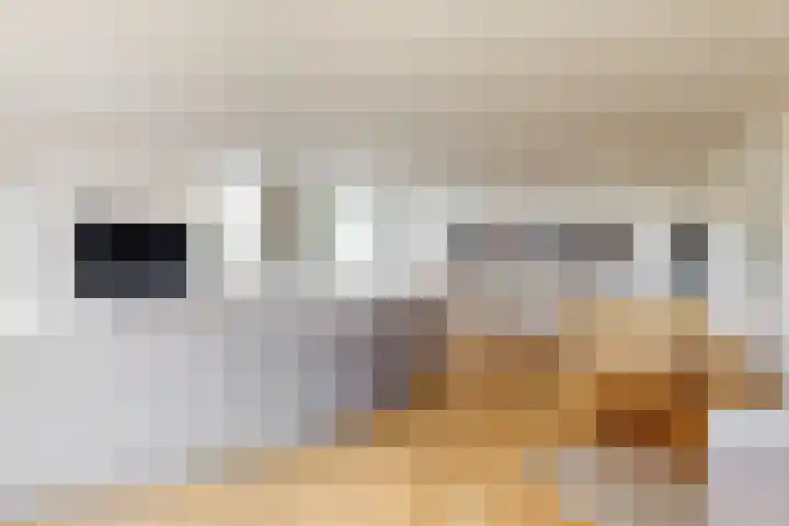 Van Leijenberghlaan 2 T Amsterdam thumbnail 14