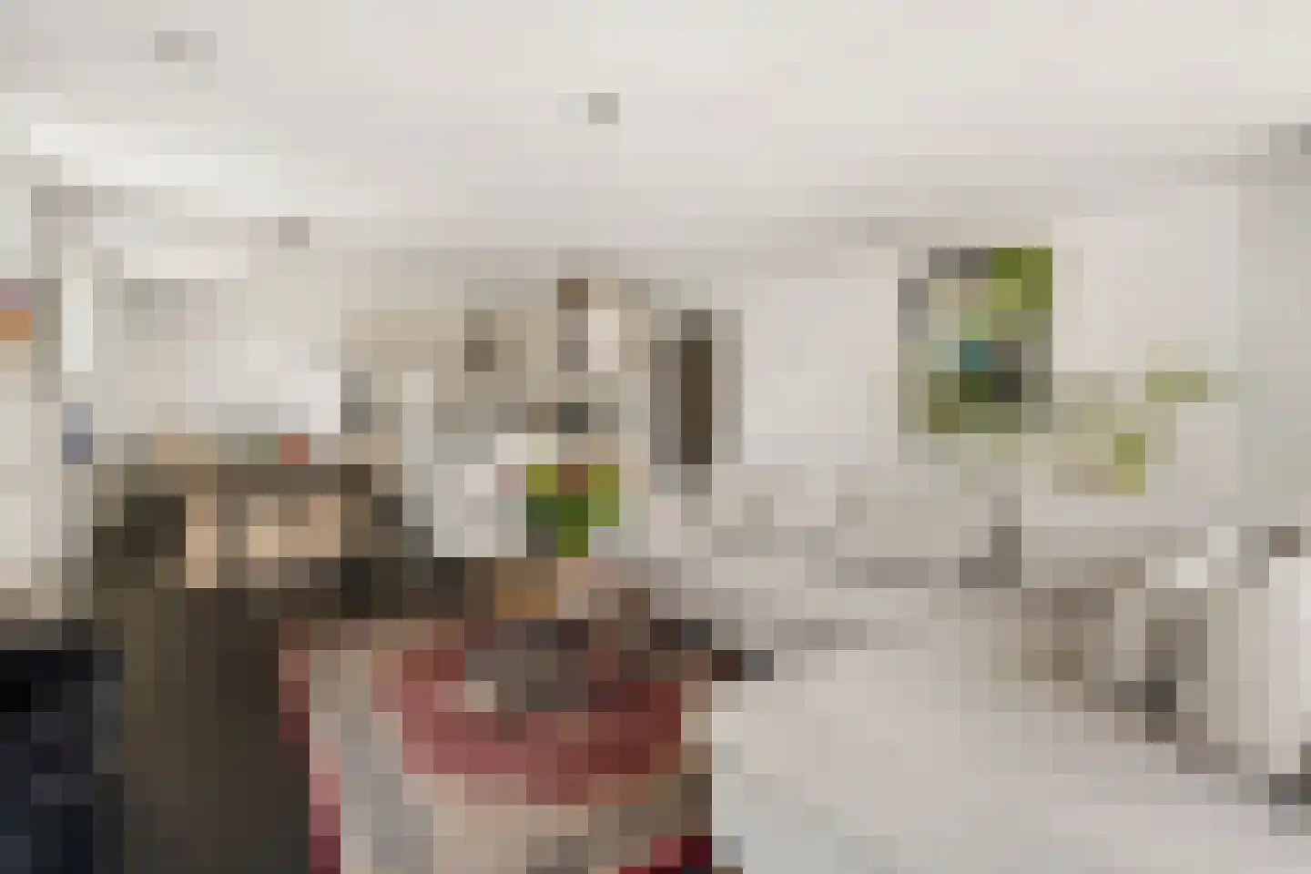 Van Leijenberghlaan 2 T Amsterdam thumbnail 15