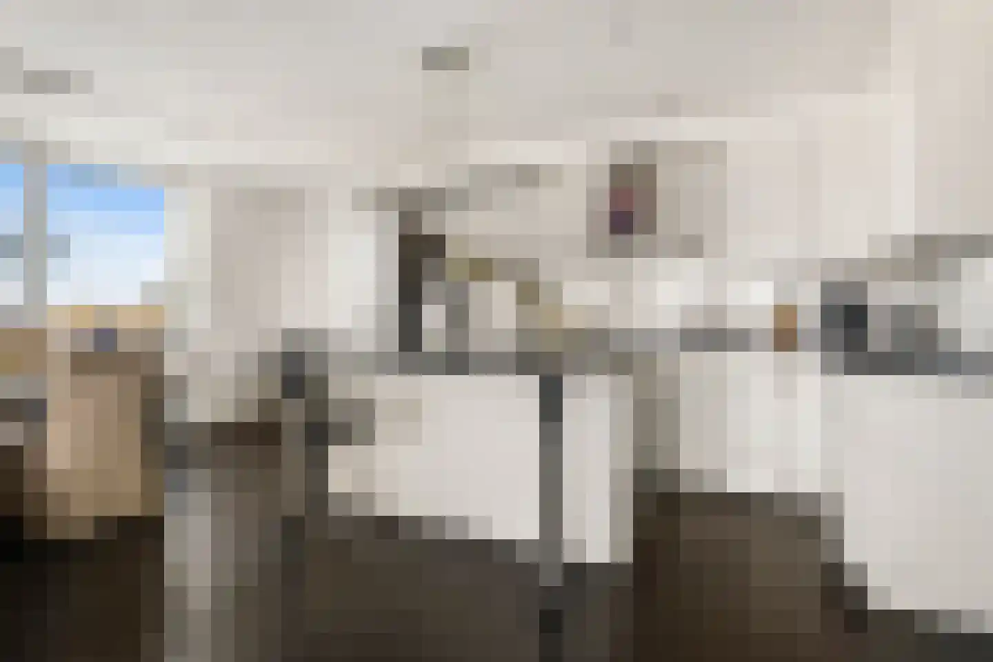 Van Leijenberghlaan 2 T Amsterdam thumbnail 16