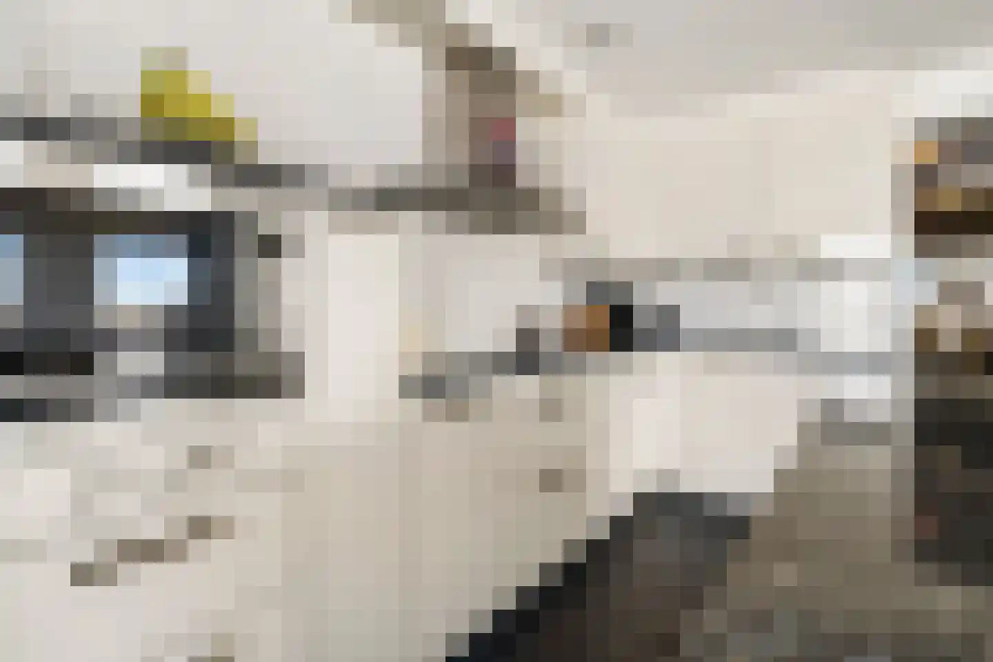 Van Leijenberghlaan 2 T Amsterdam thumbnail 17