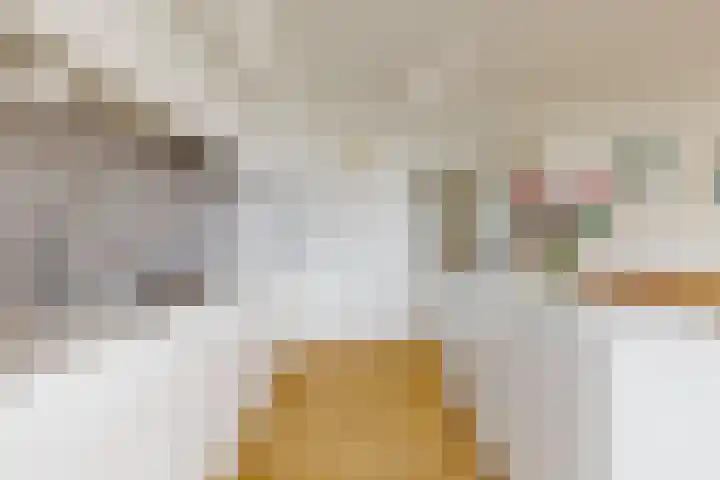 Van Leijenberghlaan 2 T Amsterdam thumbnail 18