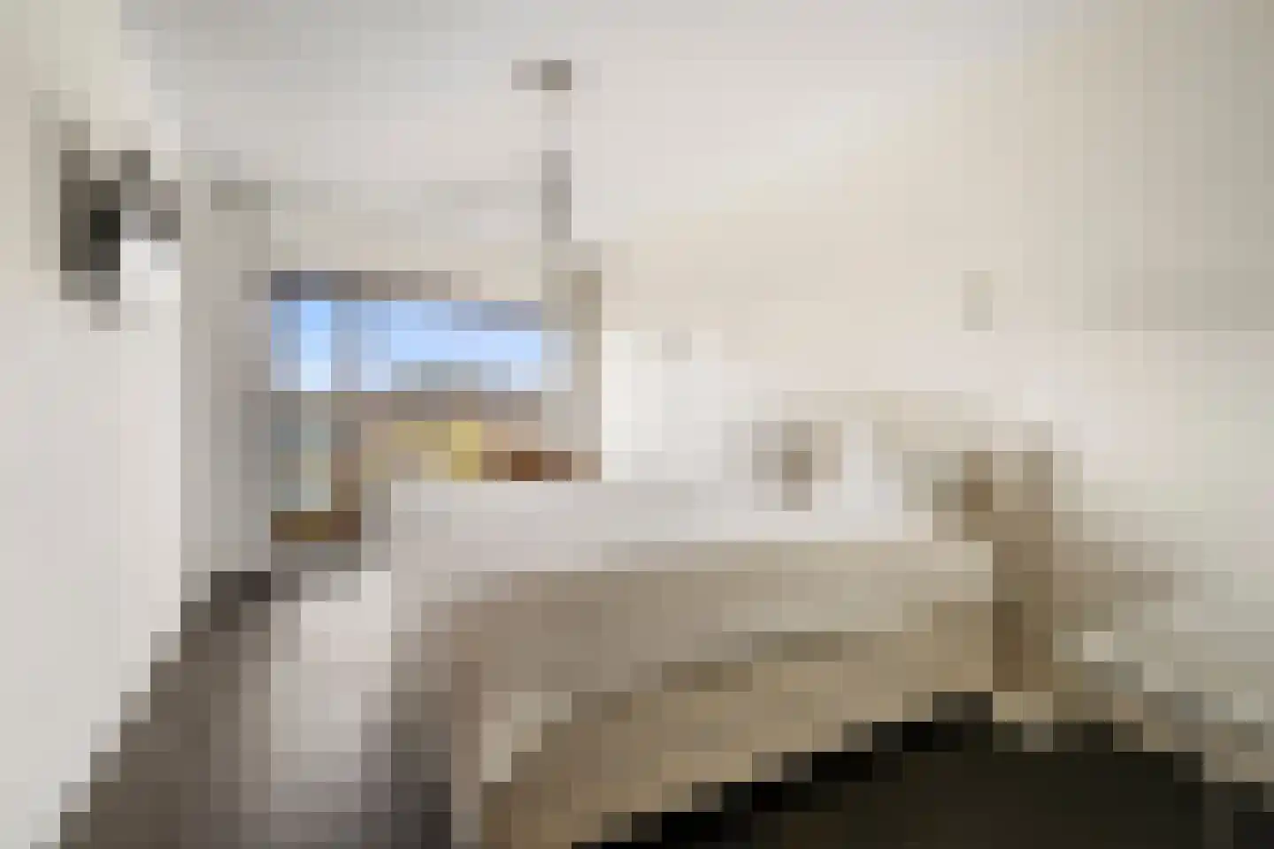 Van Leijenberghlaan 2 T Amsterdam thumbnail 21