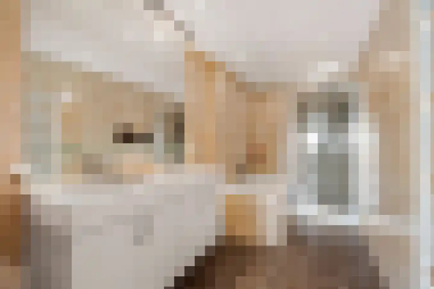 Van Leijenberghlaan 2 T Amsterdam thumbnail 24