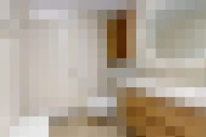 Van Leijenberghlaan 2 T Amsterdam thumbnail 24